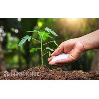 Mua đất từ năm 1994 nhưng chưa sang tên thì phải làm sổ đỏ thế nào?