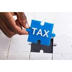 Các nguyên tắc xử phạt vi phạm hành chính và hình thức xử phạt về thuế như thế nào?