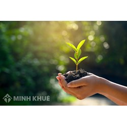 Nhiều những rủi ro khi mua đất lập vi bằng?