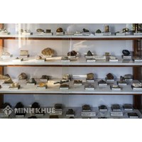 Quy định về nộp mẫu vật địa chất, khoáng sản vào bảo tàng địa chất