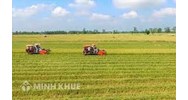 Mức phạt hành vi sử dụng đất trồng lúa vào mục đích khác không được cơ quan nhà nước có thẩm quyền cho phép theo quy định