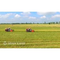 Mức phạt hành vi sử dụng đất trồng lúa vào mục đích khác không được cơ quan nhà nước có thẩm quyền cho phép theo quy định