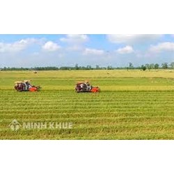 Mức phạt hành vi sử dụng đất trồng lúa vào mục đích khác không được cơ quan nhà nước có thẩm quyền cho phép theo quy định