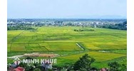 Hình thức xử phạt, biện pháp khắc phục hậu quả đối với các vi phạm liên quan đến đất đai