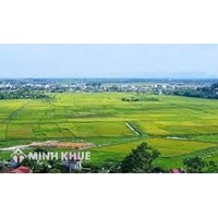 Hình thức xử phạt, biện pháp khắc phục hậu quả đối với các vi phạm liên quan đến đất đai