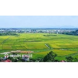 Hình thức xử phạt, biện pháp khắc phục hậu quả đối với các vi phạm liên quan đến đất đai