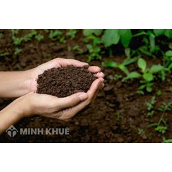 Cháu lấn chiếm đất đai của ông bà thì phải giải quyết thế nào?