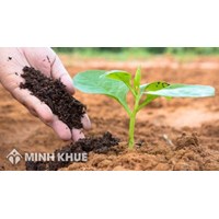 Tài sản chung của vợ chồng một người tự ý ký hợp đồng đặt cọc thì giải quyết thế nào?