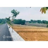 Trường hợp được cấp và trường hợp không được cấp sổ đỏ?