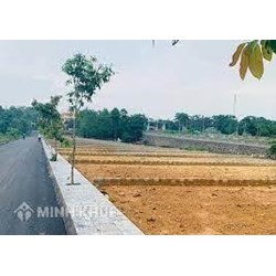 Trường hợp được cấp và trường hợp không được cấp sổ đỏ?