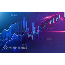 Xử phạt hành vi vi phạm quy định về hồ sơ đăng ký chào bán chứng khoán ra công chúng tại Việt Nam