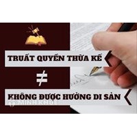 Chồng của mẹ nuôi chết thì người con nuôi có được thừa kế di sản không ?