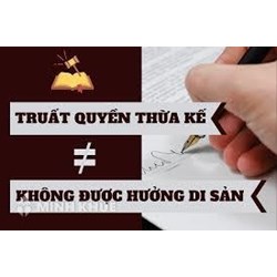 Chồng của mẹ nuôi chết thì người con nuôi có được thừa kế di sản không ?