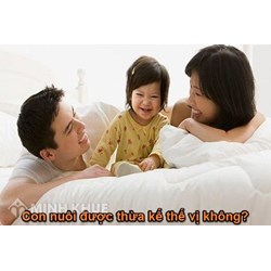 Việc nhận con nuôi không đăng ký thủ tục nuôi con nuôi thì có được chia di sản thừa kế ?