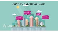 Công ty đại chúng là gì? Mức phạt hành chính hành vi vi phạm quy định về hồ sơ đăng ký công ty đại chúng
