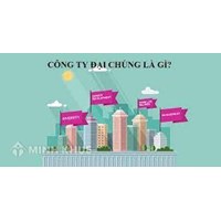 Công ty đại chúng là gì? Mức phạt hành chính hành vi vi phạm quy định về hồ sơ đăng ký công ty đại chúng
