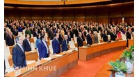 Khái niệm, đặc điểm của hoạt động ủy quyền lập pháp? Ủy uyền lập pháp theo Hiến pháp 2013