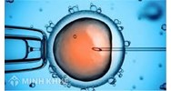 Sinh con bằng kỹ thuật hỗ trợ sinh sản là gì? Quy định của pháp luật về vấn đề sinh con bằng kỹ thuật hỗ trợ sinh sản?