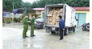 Công an kinh tế là gì? Nhiệm vụ và quyền hạn của công an kinh tế