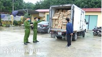 Công an kinh tế là gì? Nhiệm vụ và quyền hạn của công an kinh tế