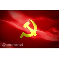 Hình thức kỷ luật đối với tổ chức đảng vi phạm quy định về quốc phòng, an ninh, đối ngoại, chống tội phạm là gì?