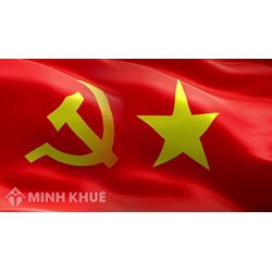 Hình thức kỷ luật đối với tổ chức đảng vi phạm về đầu tư, xây dựng cơ bản, kinh tế, tài chính, ngân hàng là gì ?