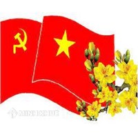 Hình thức kỷ luật đối với tổ chức đảng vi phạm về đất đai, tài nguyên, giáo dục, văn hóa là gì ?