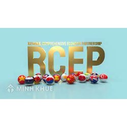 Cách xác định xuất xứ hàng hóa trong Hiệp định đối tác kinh tế toàn diện khu vực