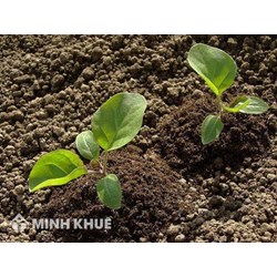 Hàng xóm tự mở lối đi sang bên cạnh thì phải làm thế nào?