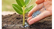 Hàng xóm lấn chiếm sang đất nhà mình thì phải báo lên cơ quan nào?