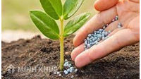 Hàng xóm lấn chiếm sang đất nhà mình thì phải báo lên cơ quan nào?