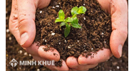 Hàng xóm từ chối không ký xác nhận ranh giới thửa đất?
