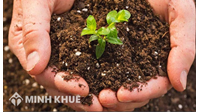 Hàng xóm từ chối không ký xác nhận ranh giới thửa đất?