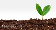 Sổ đỏ bị ghi sai số tờ số thửa và địa chỉ thửa đất?