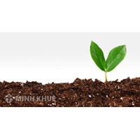Sổ đỏ bị ghi sai số tờ số thửa và địa chỉ thửa đất?