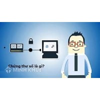 Hoạt động cung cấp dịch vụ của các tổ chức cung cấp dịch vụ chứng thực chữ ký số công cộng