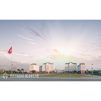 Quy định về việc tiêu hủy tài sản và xử lý khi tài sản tại cơ quan của Đảng bị mất ?