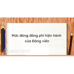 Mức đóng Đảng phí của đảng viên, căn cứ để tính đóng Đảng phí?