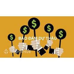 Các trường hợp phải có bảo đảm dự thầu ? Giá trị, thời gian có hiệu lực của bảo đảm dự thầu