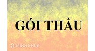 Quy định mới về chính sách ưu đãi đối với hàng hóa và gói thầu trong nước ?