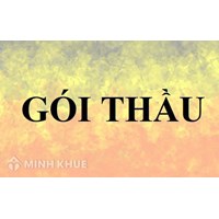 Quy định mới về chính sách ưu đãi đối với hàng hóa và gói thầu trong nước ?