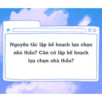 Nguyên tắc lập kế hoạch lựa chọn nhà thầu? Căn cứ lập kế hoạch lựa chọn nhà thầu?