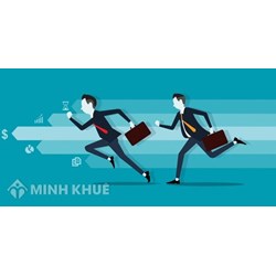 Quy định thực hiện tổ chức lựa chọn nhà đầu tư và sửa lỗi và hiệu chỉnh sai lệch hồ sơ dự thầu ?