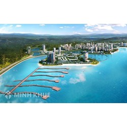 Quy định về việc thẩm định, phê duyệt và công khai kết quả lựa chọn nhà đầu tư ?