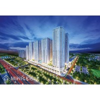 Quy định về việc ký kết hợp đồng, công khai thông tin hợp đồng, triển khai dự án có sử dụng đất ?