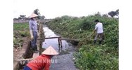 Tổng hợp hành vi vi phạm hành chính trong lĩnh vực thủy lợi