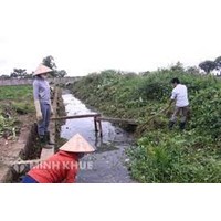 Tổng hợp hành vi vi phạm hành chính trong lĩnh vực thủy lợi