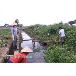Tổng hợp hành vi vi phạm hành chính trong lĩnh vực thủy lợi