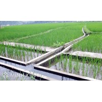 Thủ tục cấp giấy phép cho các hoạt động trong phạm vi bảo vệ công trình thủy lợi
