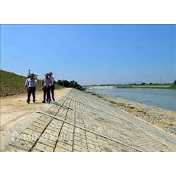 Quy định pháp luật về việc phân loại, phân cấp đê điều